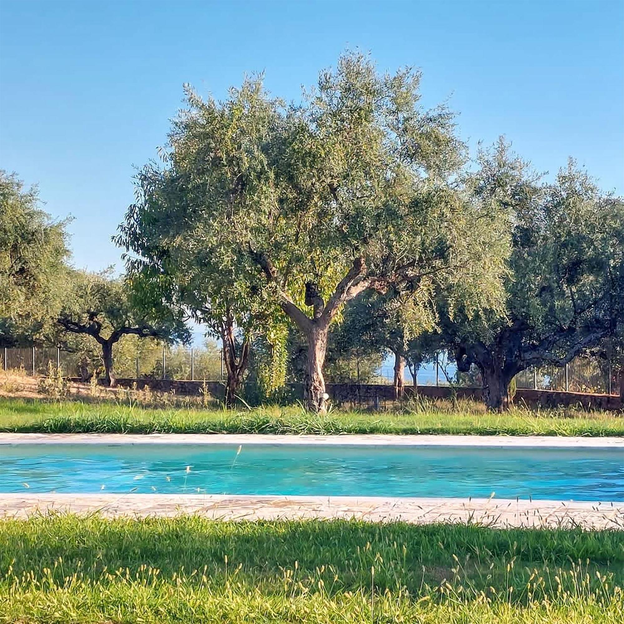 Villa Eleni - Private Pool Bliss Near Kardamili Proásztio Kültér fotó